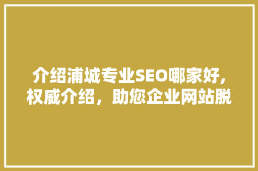 介绍浦城专业SEO哪家好,权威介绍，助您企业网站脱颖而出