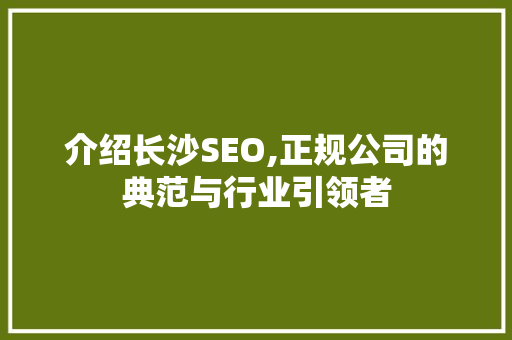 介绍长沙SEO,正规公司的典范与行业引领者