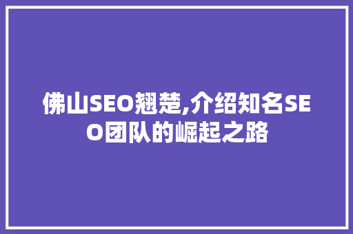 佛山SEO翘楚,介绍知名SEO团队的崛起之路  第1张