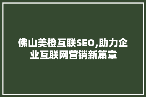 佛山美橙互联SEO,助力企业互联网营销新篇章