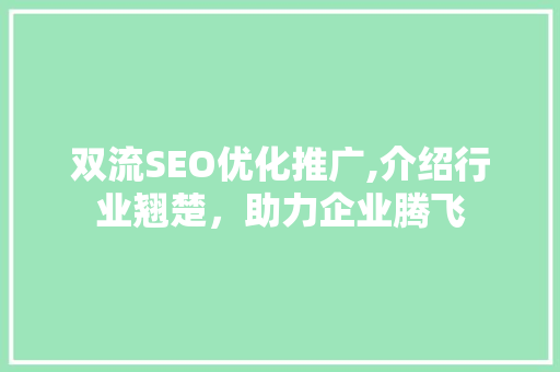 双流SEO优化推广,介绍行业翘楚，助力企业腾飞