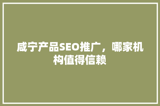 咸宁产品SEO推广，哪家机构值得信赖