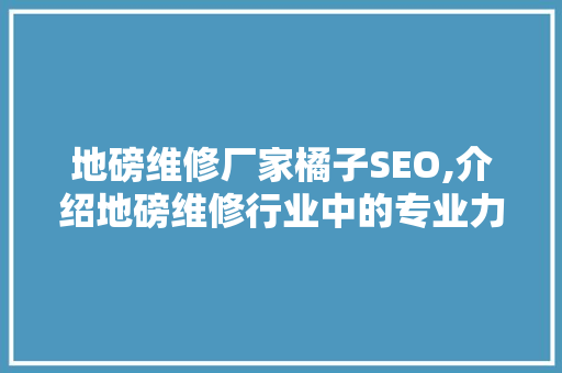 地磅维修厂家橘子SEO,介绍地磅维修行业中的专业力量