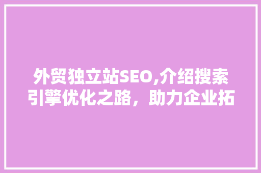 外贸独立站SEO,介绍搜索引擎优化之路，助力企业拓展国际市场