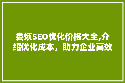 娄烦SEO优化价格大全,介绍优化成本，助力企业高效营销