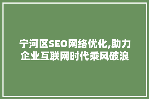 宁河区SEO网络优化,助力企业互联网时代乘风破浪