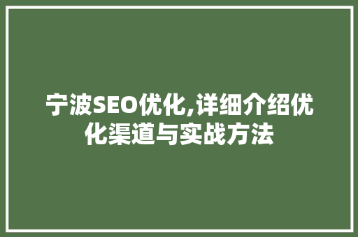 宁波SEO优化,详细介绍优化渠道与实战方法