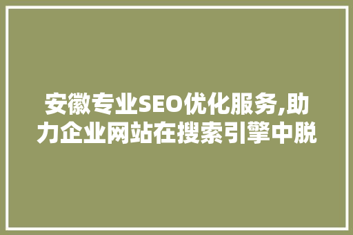 安徽专业SEO优化服务,助力企业网站在搜索引擎中脱颖而出