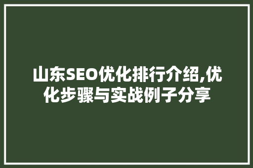 山东SEO优化排行介绍,优化步骤与实战例子分享