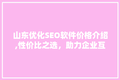 山东优化SEO软件价格介绍,性价比之选，助力企业互联网营销
