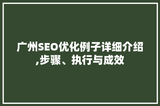 广州SEO优化例子详细介绍,步骤、执行与成效