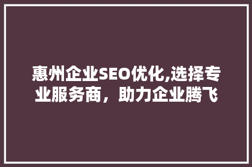 惠州企业SEO优化,选择专业服务商，助力企业腾飞  第1张