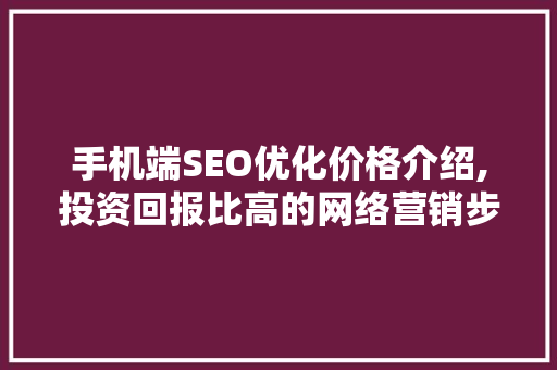 手机端SEO优化价格介绍,投资回报比高的网络营销步骤