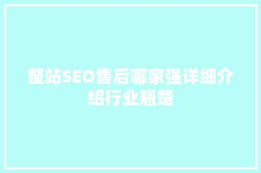 整站SEO售后哪家强详细介绍行业翘楚  第1张