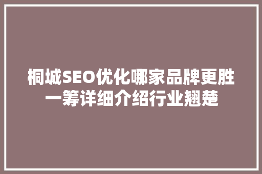 桐城SEO优化哪家品牌更胜一筹详细介绍行业翘楚