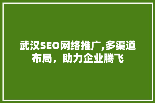 武汉SEO网络推广,多渠道布局，助力企业腾飞