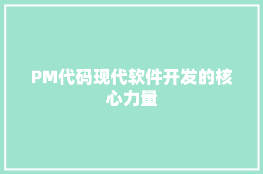 PM代码现代软件开发的核心力量