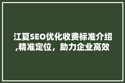 江夏SEO优化收费标准介绍,精准定位，助力企业高效提升网站排名