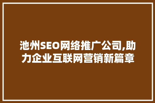 池州SEO网络推广公司,助力企业互联网营销新篇章