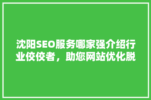 沈阳SEO服务哪家强介绍行业佼佼者，助您网站优化脱颖而出