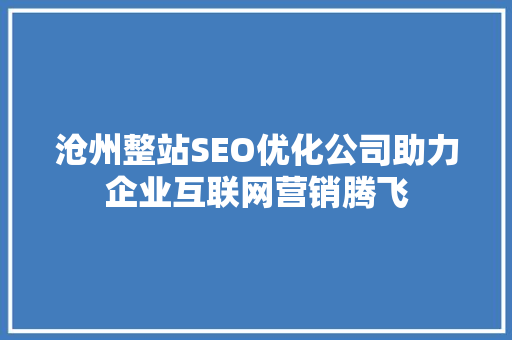 沧州整站SEO优化公司助力企业互联网营销腾飞