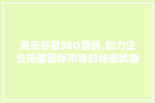 海安谷歌SEO营销,助力企业拓展国际市场的秘密武器