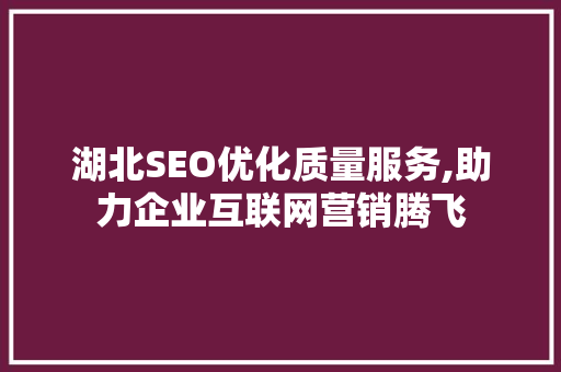湖北SEO优化质量服务,助力企业互联网营销腾飞