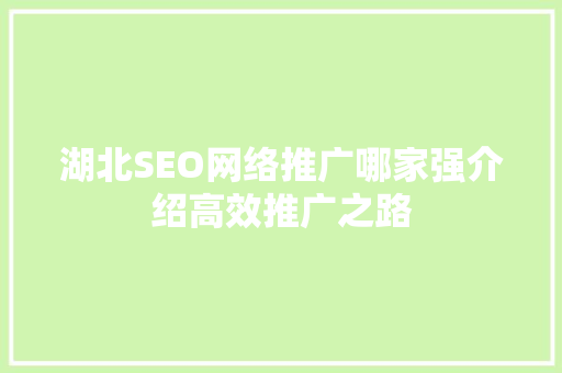 湖北SEO网络推广哪家强介绍高效推广之路