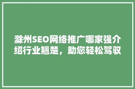 滁州SEO网络推广哪家强介绍行业翘楚，助您轻松驾驭互联网营销