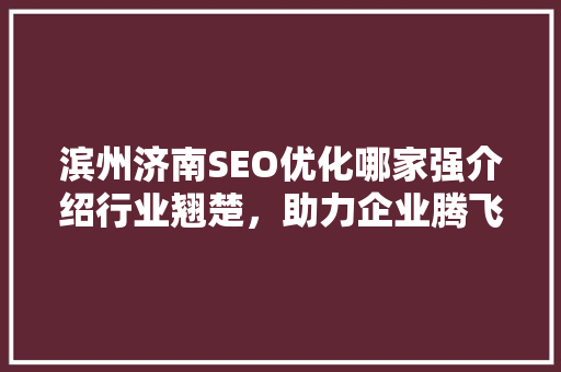 滨州济南SEO优化哪家强介绍行业翘楚，助力企业腾飞