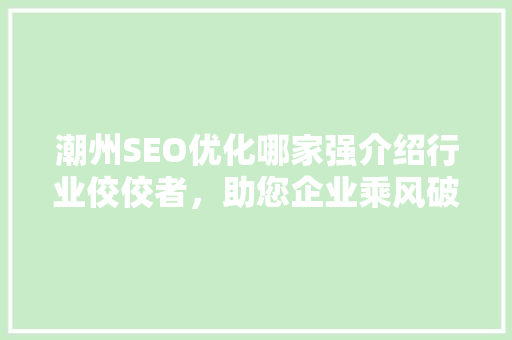 潮州SEO优化哪家强介绍行业佼佼者，助您企业乘风破浪！