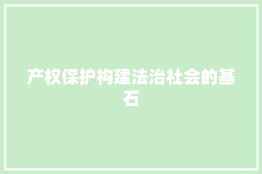 产权保护构建法治社会的基石