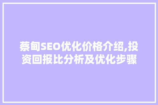 蔡甸SEO优化价格介绍,投资回报比分析及优化步骤