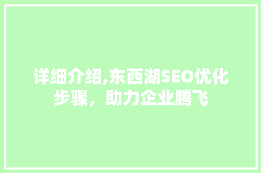 详细介绍,东西湖SEO优化步骤，助力企业腾飞