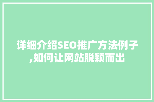 详细介绍SEO推广方法例子,如何让网站脱颖而出