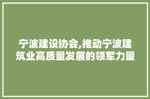 宁波建设协会,推动宁波建筑业高质量发展的领军力量