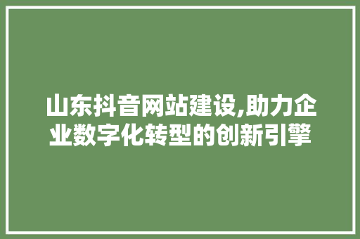 山东抖音网站建设,助力企业数字化转型的创新引擎