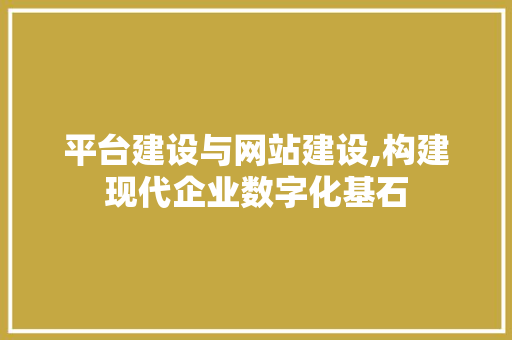 平台建设与网站建设,构建现代企业数字化基石