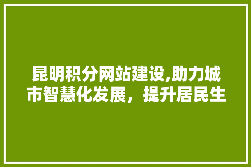 昆明积分网站建设,助力城市智慧化发展，提升居民生活品质