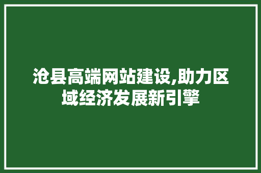 沧县高端网站建设,助力区域经济发展新引擎