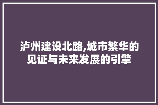 泸州建设北路,城市繁华的见证与未来发展的引擎