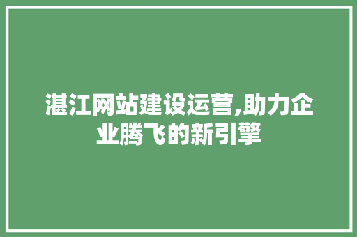 湛江网站建设运营,助力企业腾飞的新引擎