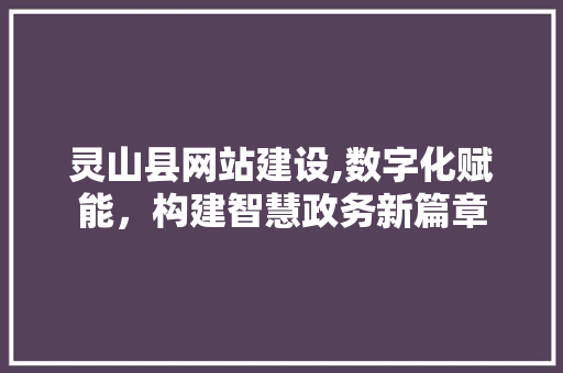 灵山县网站建设,数字化赋能，构建智慧政务新篇章  第1张