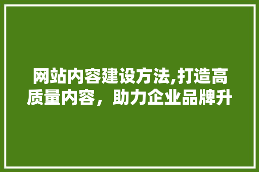 网站内容建设方法,打造高质量内容，助力企业品牌升级