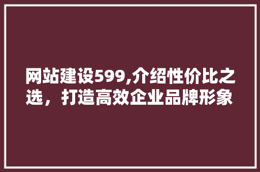 网站建设599,介绍性价比之选，打造高效企业品牌形象