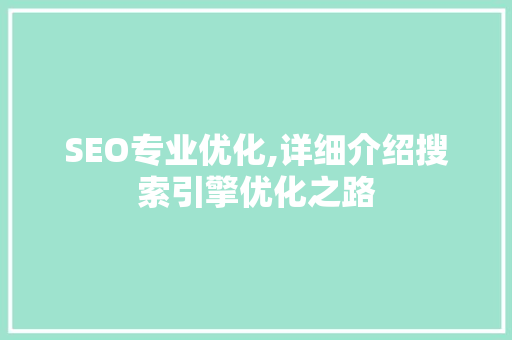 SEO专业优化,详细介绍搜索引擎优化之路