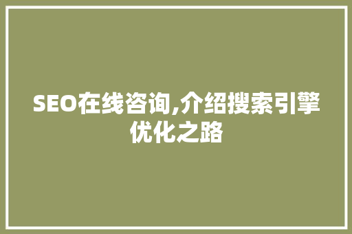 SEO在线咨询,介绍搜索引擎优化之路