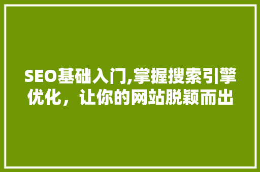SEO基础入门,掌握搜索引擎优化，让你的网站脱颖而出