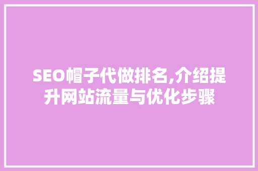 SEO帽子代做排名,介绍提升网站流量与优化步骤