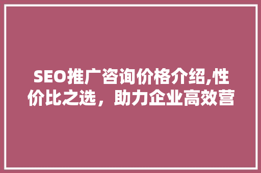SEO推广咨询价格介绍,性价比之选，助力企业高效营销